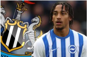 Newcastle United Đàm Phán Mua Joao Pedro, Đánh Bại Arsenal và Chelsea
